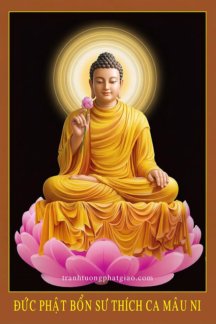 Tranh Bổn Sư Liên Tiếu ( 100)